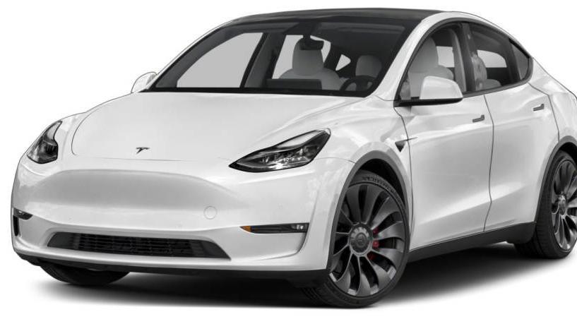 TESLA MODEL Y 2021 5YJYGDEE2MF143775 image